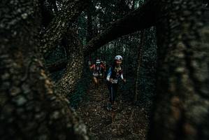 BIB: 
                            <button type="button" onclick="openModal(25688467)" class="btn btn-primary btn-sm float-right btn-popup" data-toggle="modal" data-target=".modal-high-quality">
                        <i class="fas fa-shopping-cart"></i> Add to Cart
                    </button>
                                            <button type="button" onclick="isThisMe(25688467, true)" class="btn btn-success btn-sm float-right btn-popup btn-isme hidden" data-toggle="tooltip" data-placement="bottom" title="นี่คือรูปของคุณใช่ไหม คลิกที่นี่เพื่อเอาเข้าอัลบั้ม">
                        <i class="fas fa-plus"></i> Add to album
                    </button>
                    <button type="button" onclick="isThisMe(25688467, false)" class="btn btn-warning btn-sm float-right btn-popup btn-isnotme hidden">
                        <i class="fas fa-ban"></i> Remove from album
                    </button>